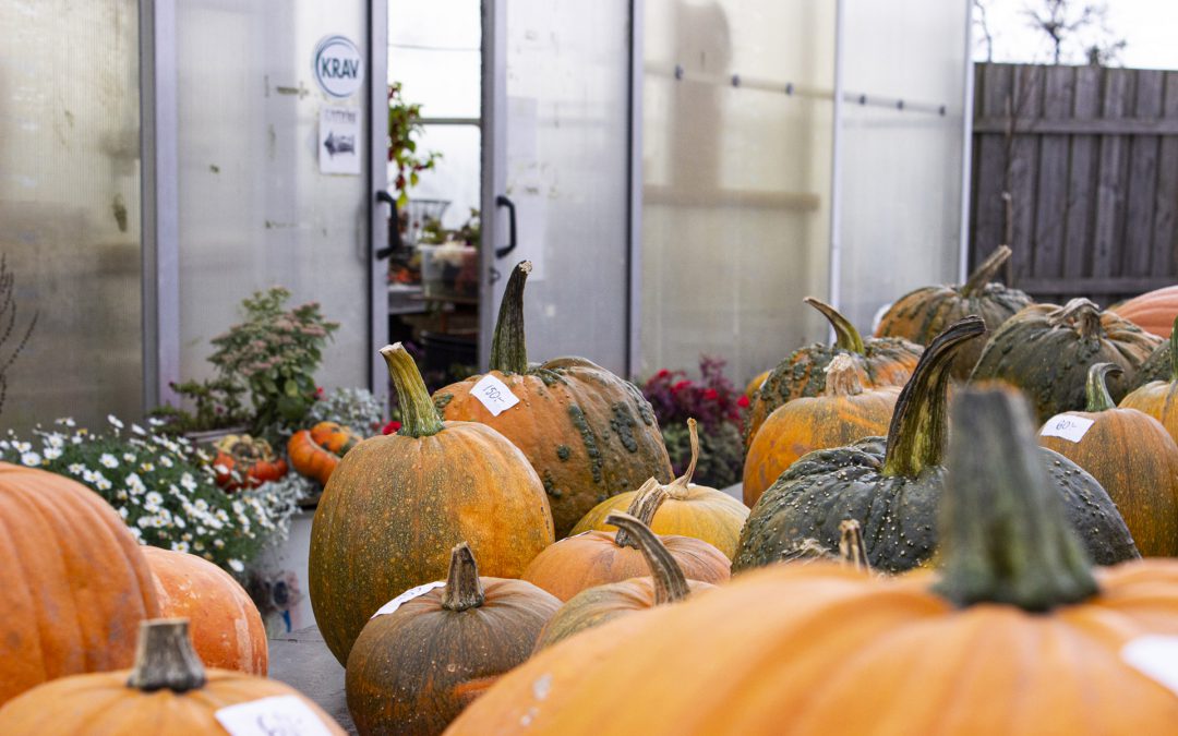 Mariebergs Gårdsbutik