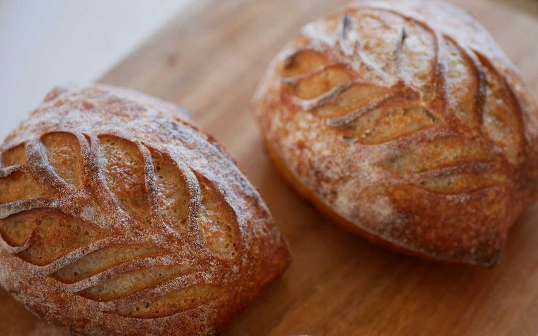 Surdegskurser med Danlarn