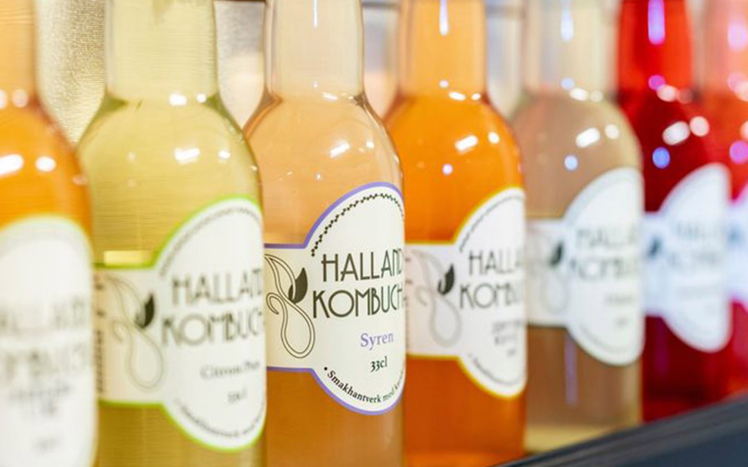 Hallands Kombucha